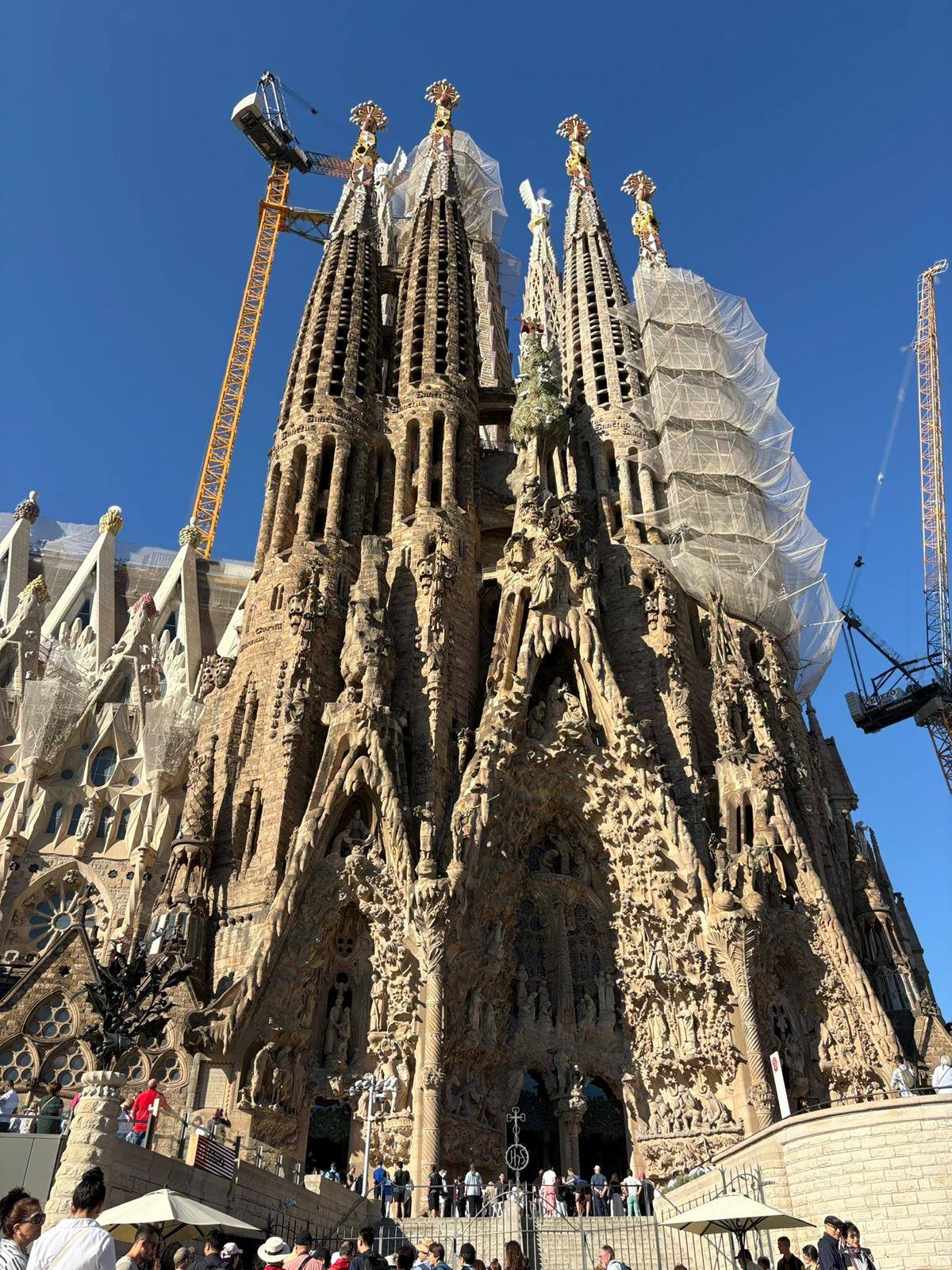 Zdjęcie Barcelona 2025 (7)84a6228d-d73c-4a6a-b2c2-d9e6e6525dee.jpg w galerii Wycieczka po Europie - Barcelona